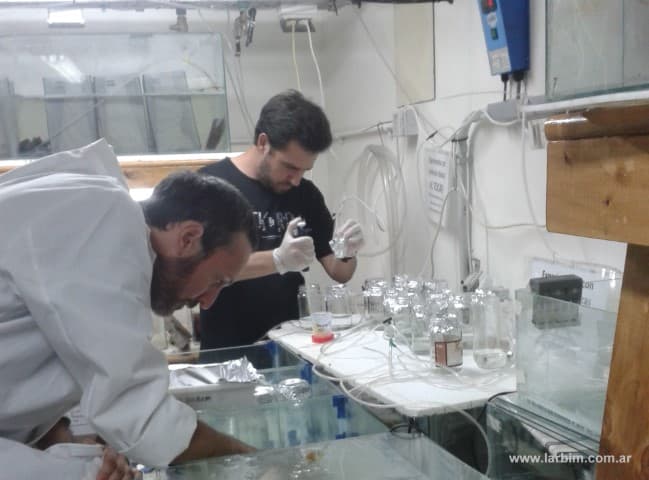 Ecotoxicology