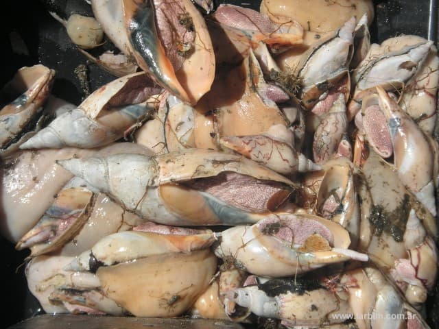 Fisheries